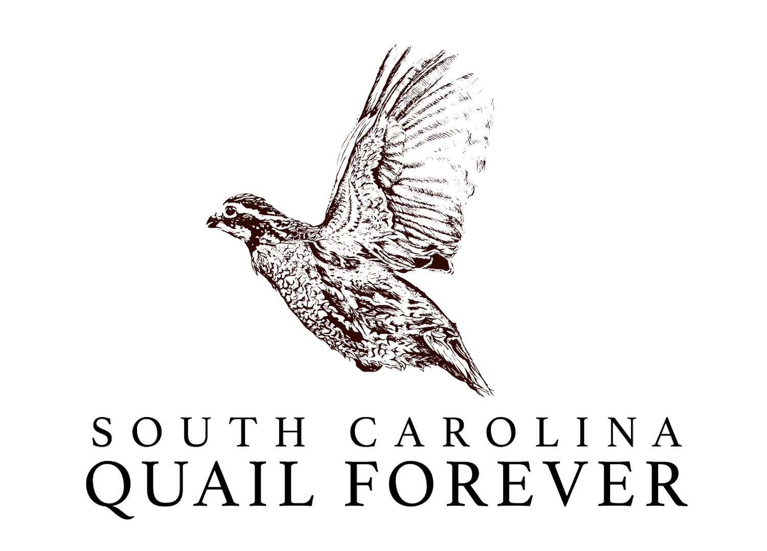 South Carolina Quail Forever 