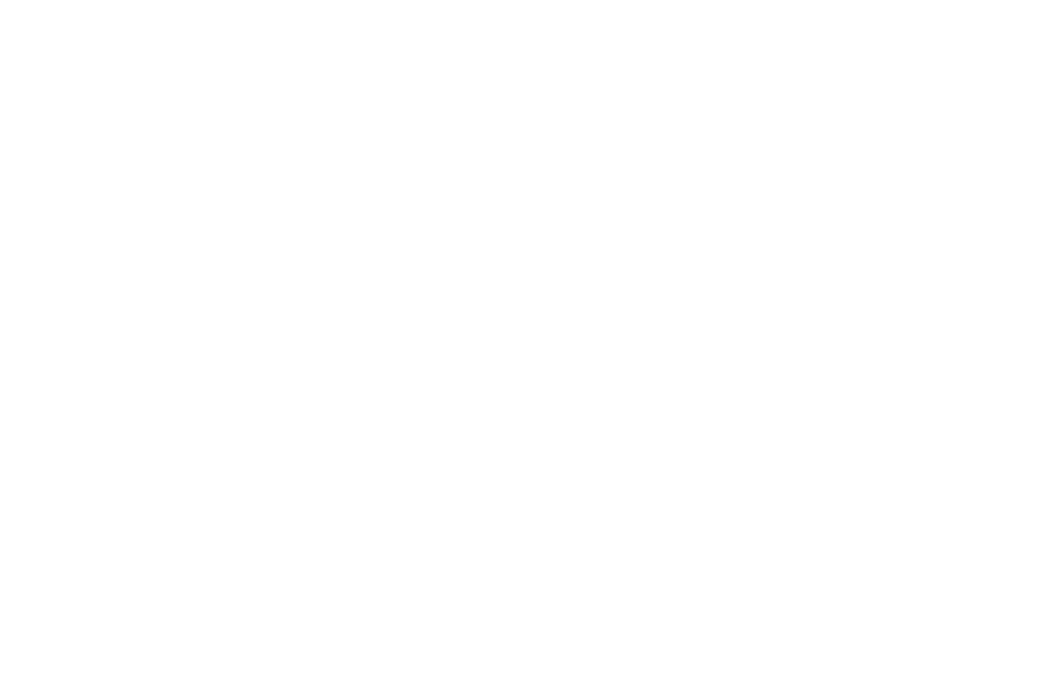 Wylde Soul Photography