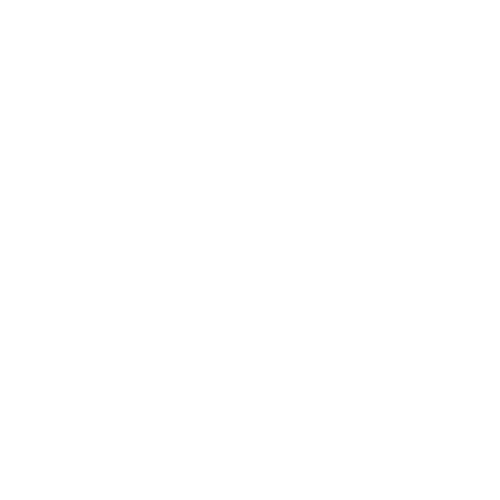 Dog Beginnings