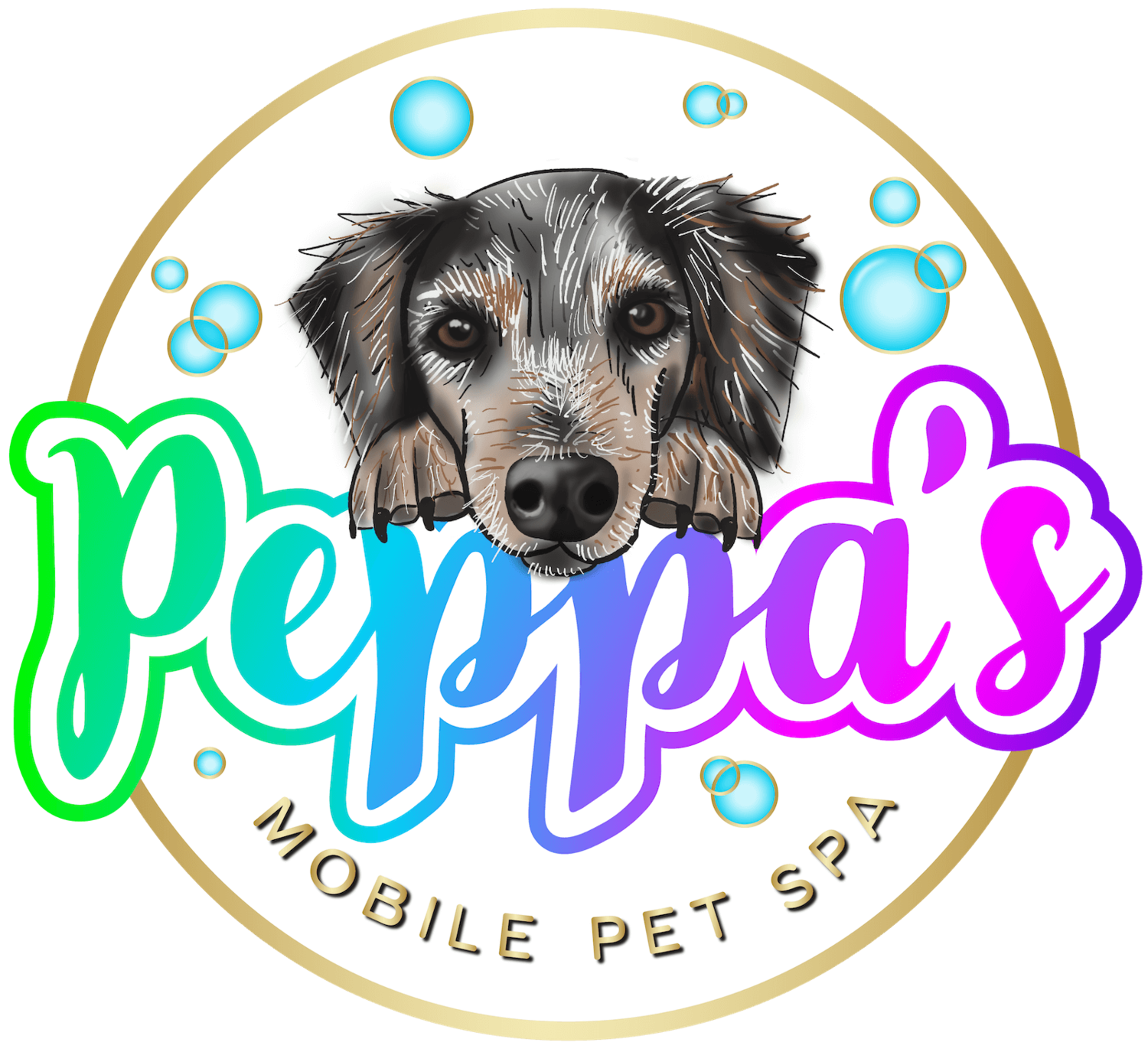 Peppa&#39;s Mobile Pet Spa