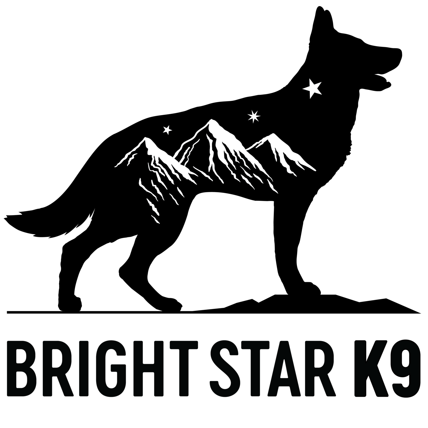 Bright Star K9 Dog Training