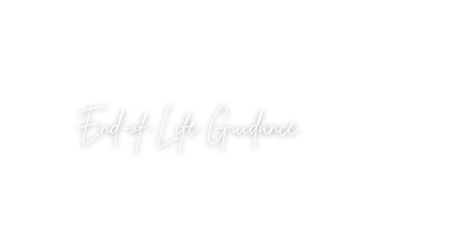 SARAH BIRD                                           
