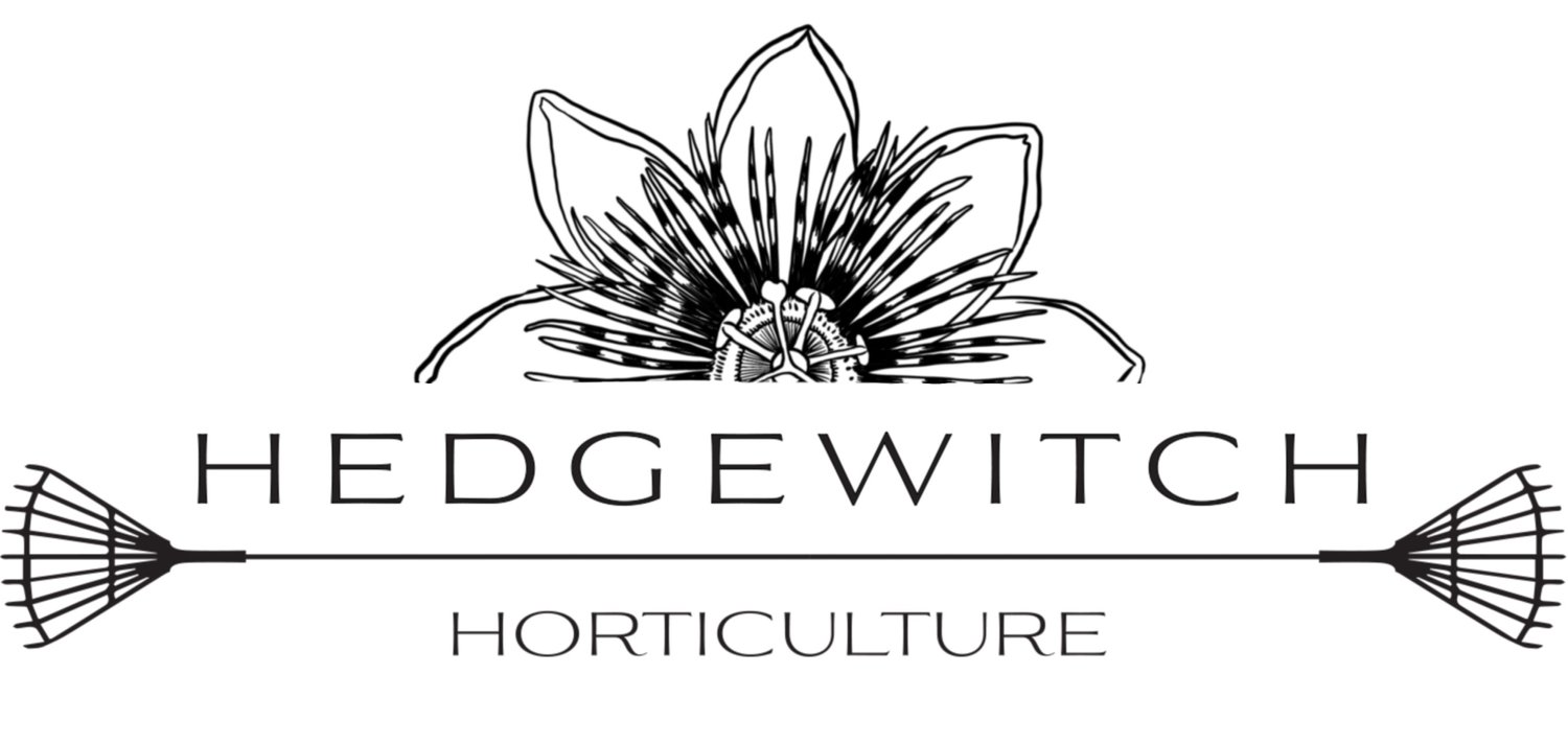 Hedgewitch Horticulture