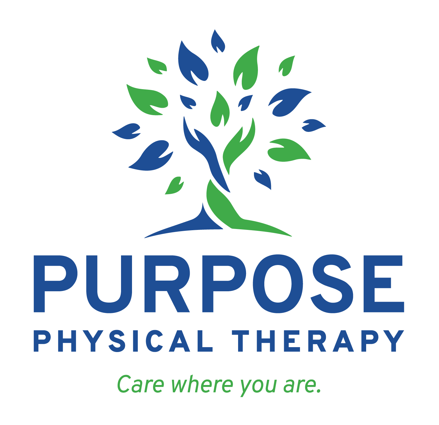 Purpose Physical Therapy