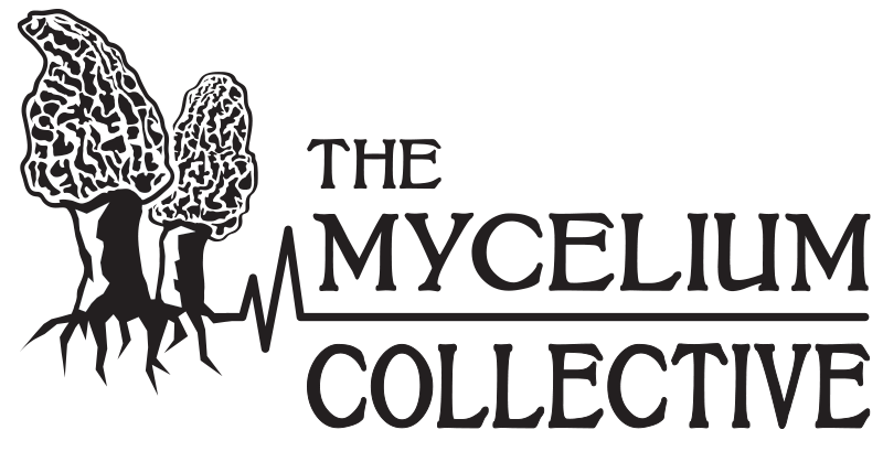 The Mycelium Collective
