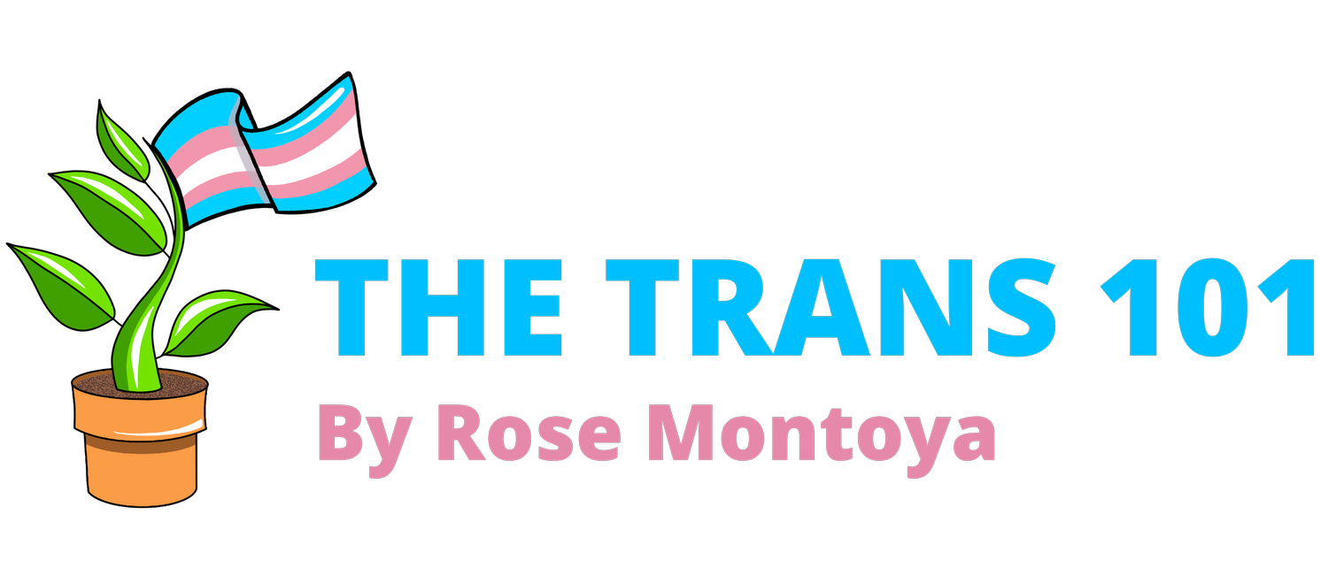 The Trans 101 by Rose Montoya