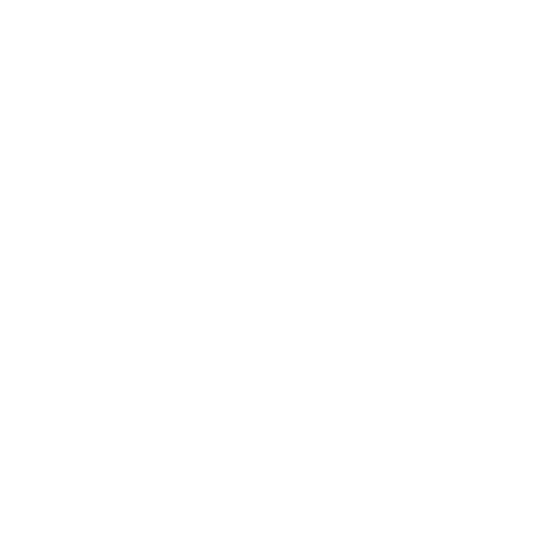 Boss Babe Networking