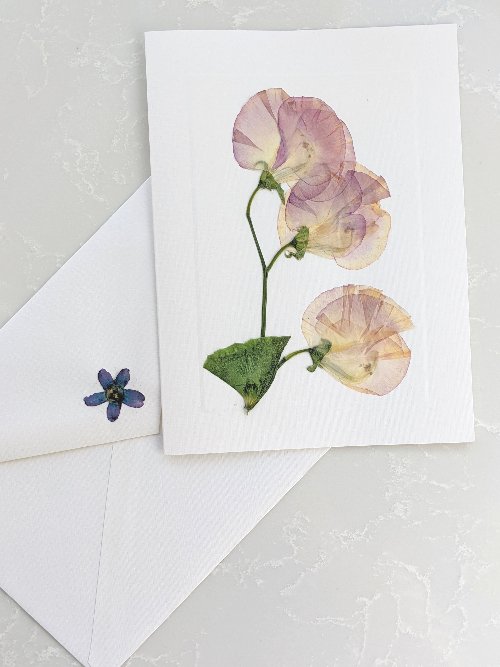 Pressed Flower Card 4 x 6 Blank Card