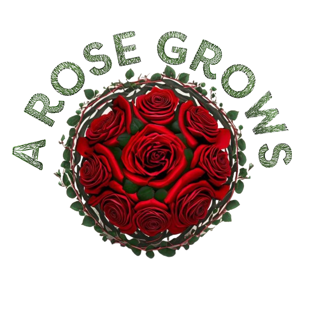 A Rose Grows