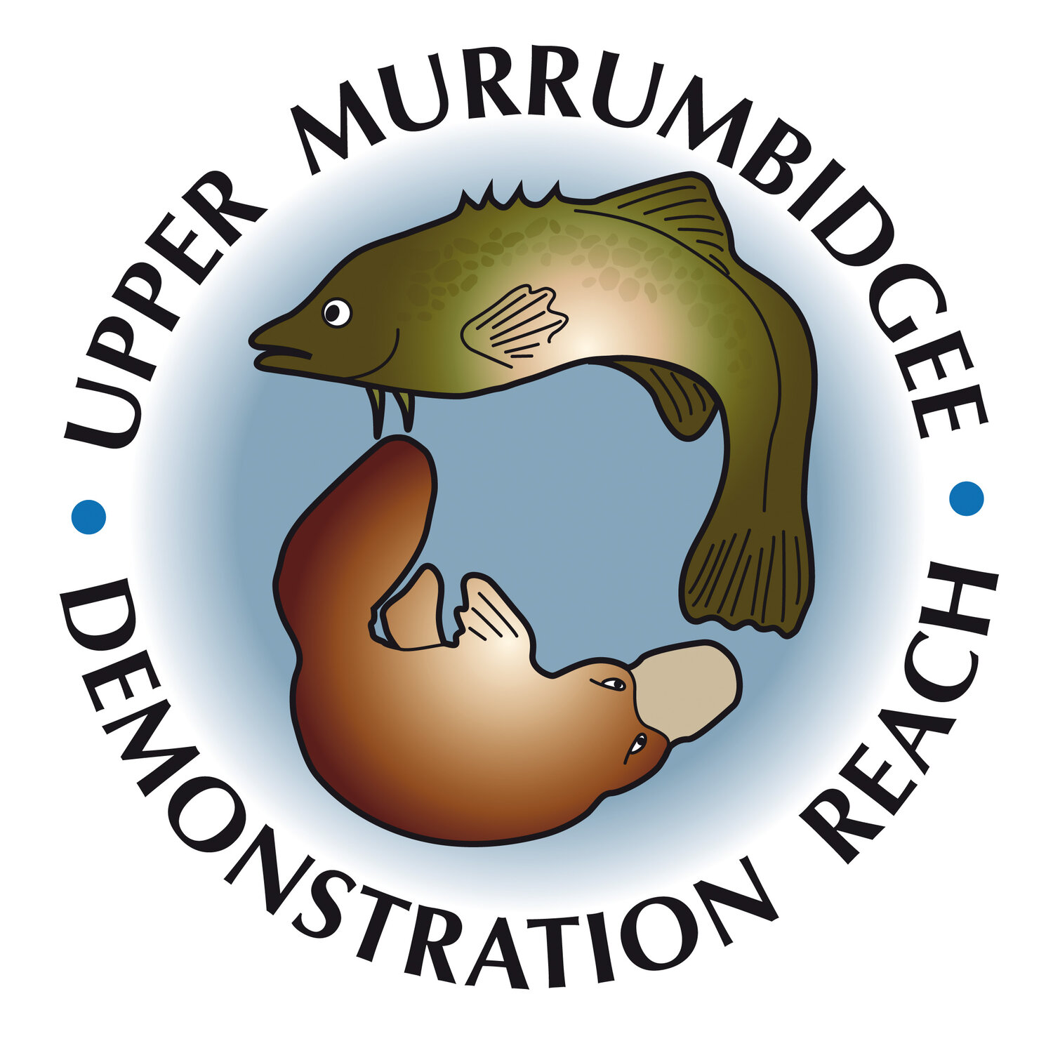 Upper Murrumbidgee Demonstration Reach