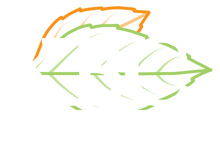 KBC Specialty Seeds