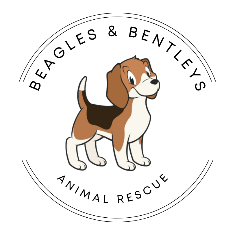 Beagles and Bentleys