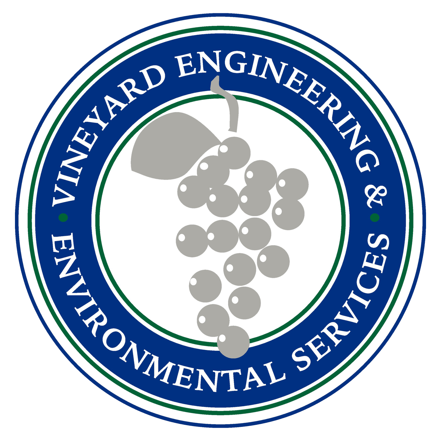 Vineyard Engineering &amp; Environmental Services, Inc.