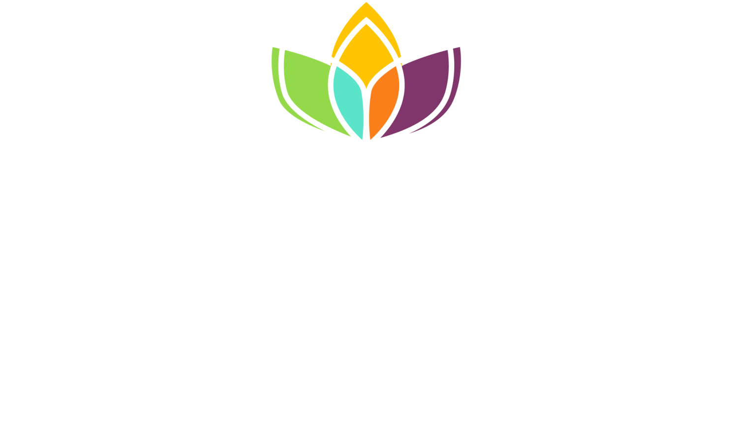 Bloom Consulting 