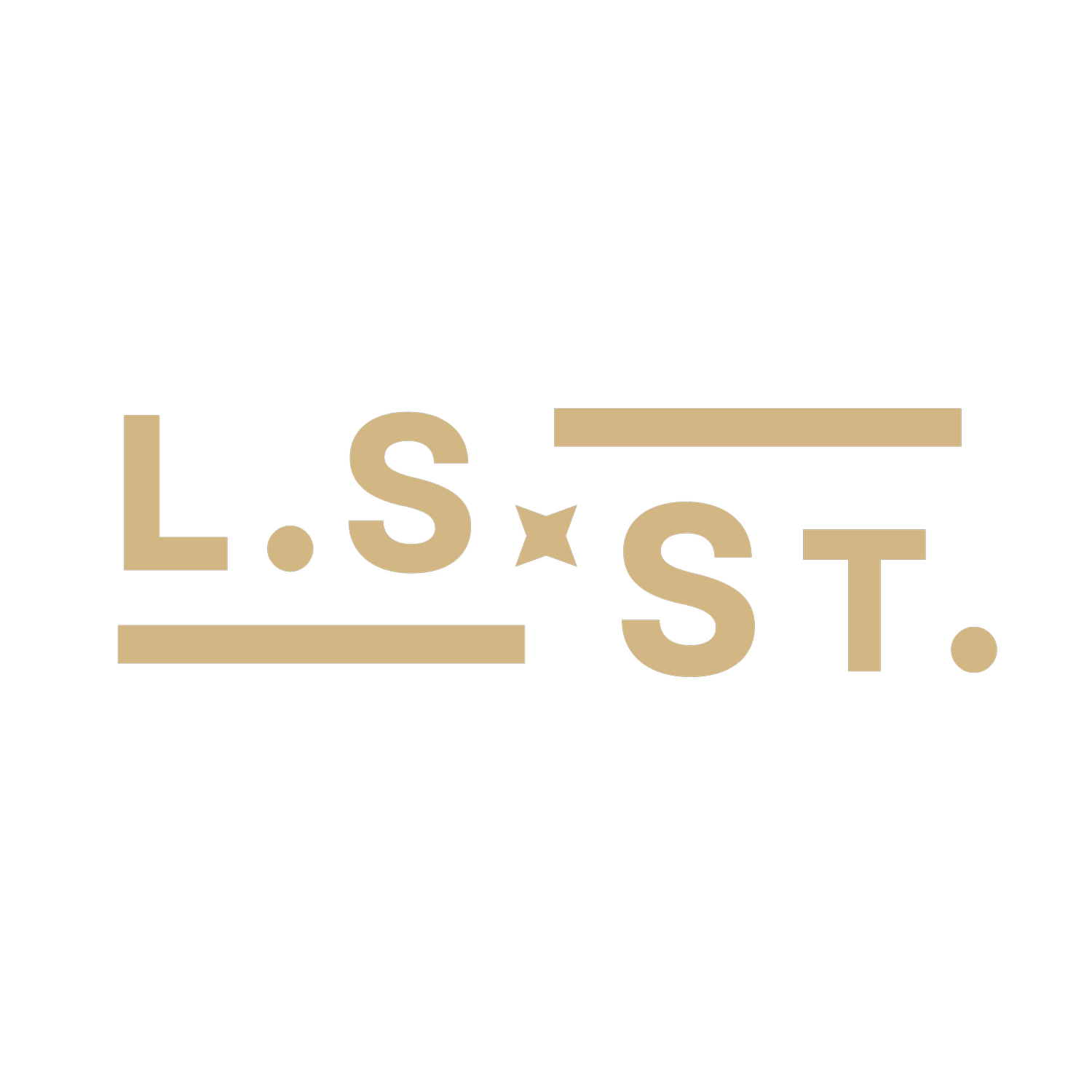 L.S. Storm