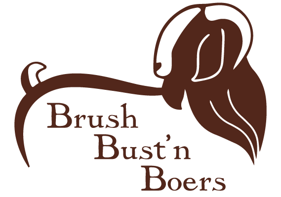 Brush Bust&#39;n Boers