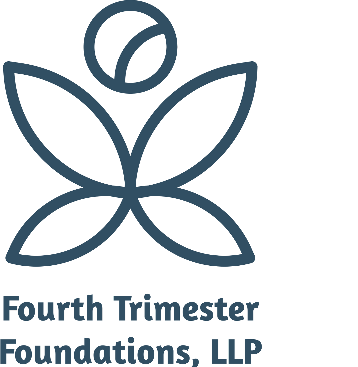 fourth trimester foundations