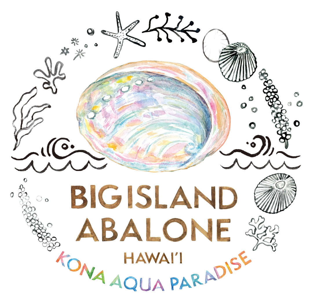 Big Island Abalone