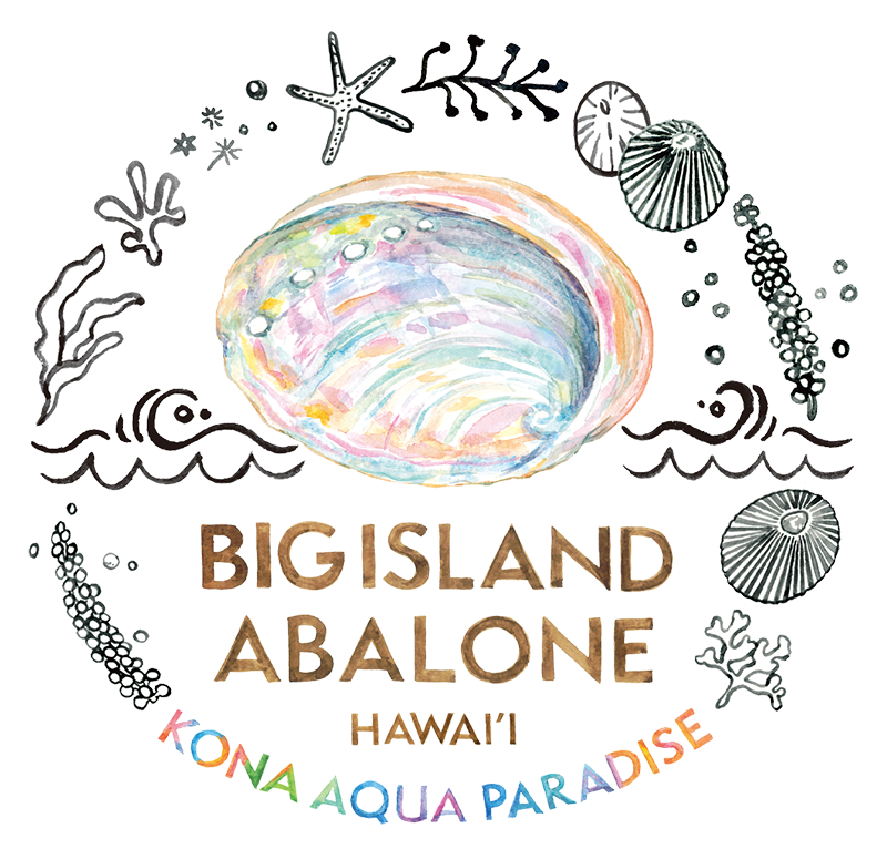 Big Island Abalone