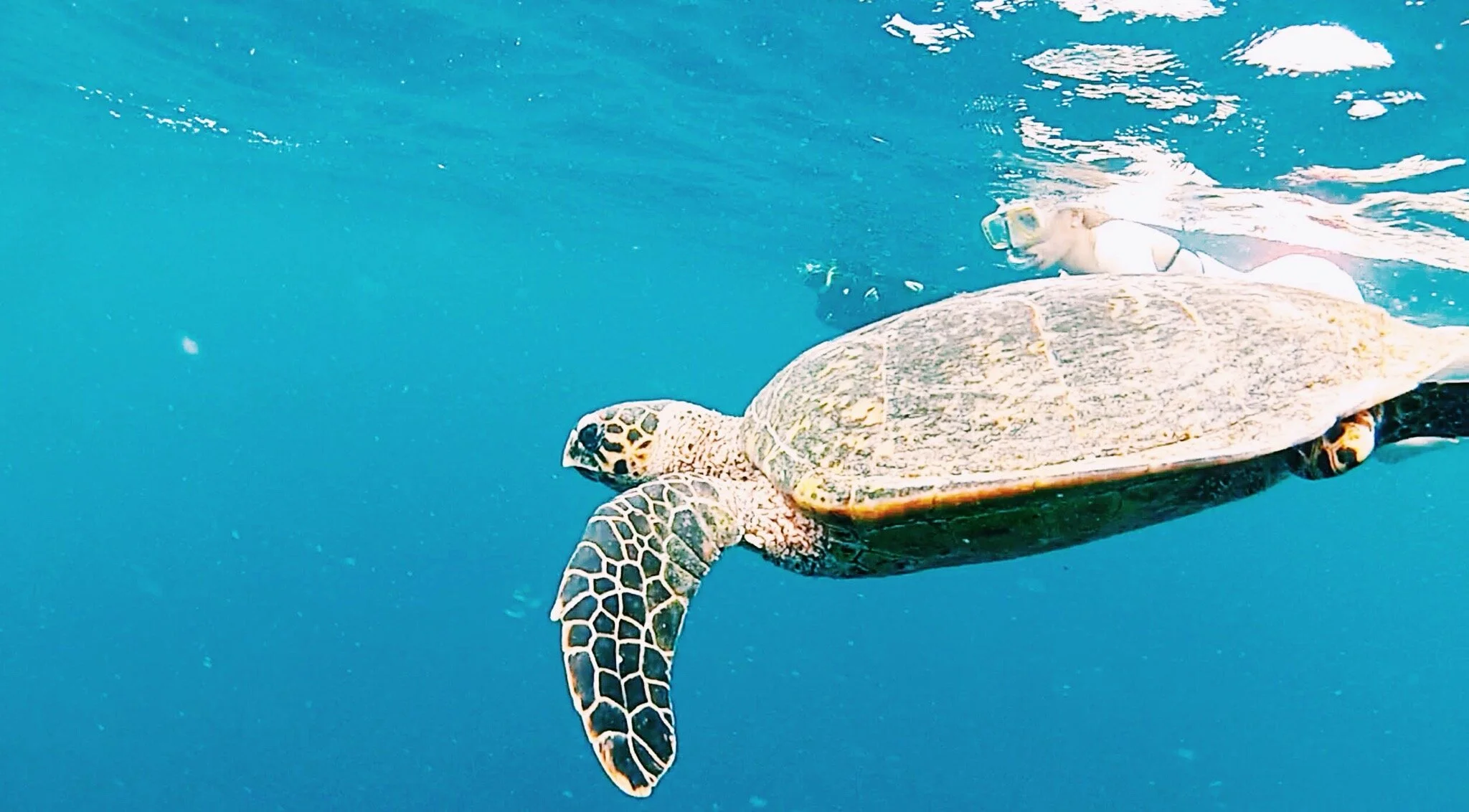 PHOTO DIARY: MALDIVES PHOTOS