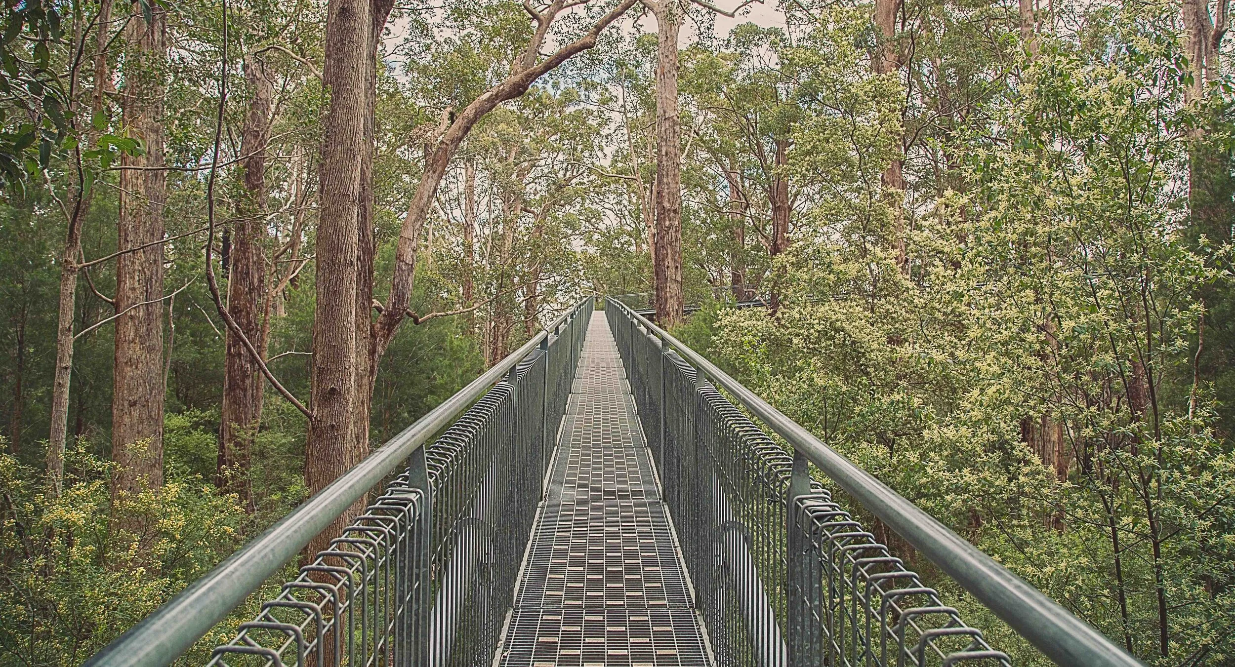 PHOTO DIARY: SOUTHERN WESTERN AUSTRALIA ROAD TRIP PHOTOS