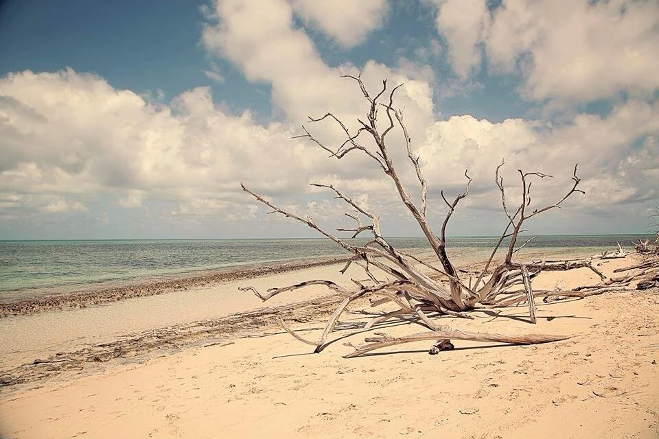 green island in cairns