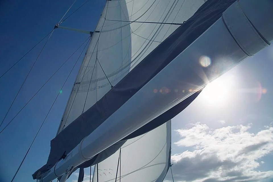 sail boat in cairns
