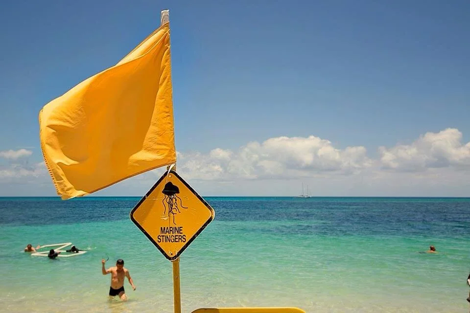 green island beach