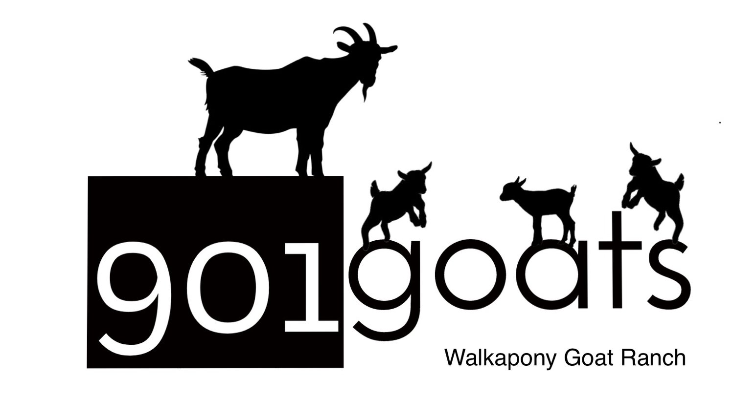 901Goats from Walkapony Goat Ranch