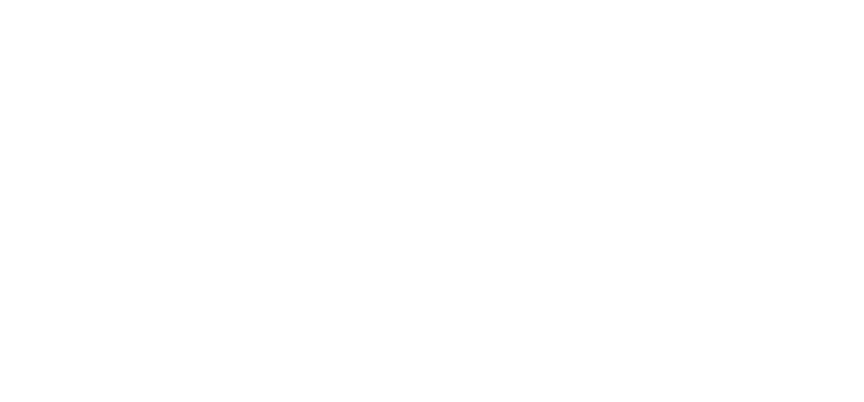 Healthy Choice Carpet Cleaners