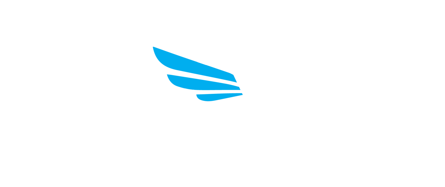 TAG | Project Management and Owner&#39;s Representation