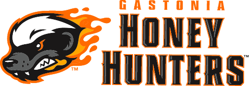 Gastonia Honey Hunters