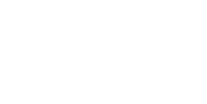 Ana Teresa Toro