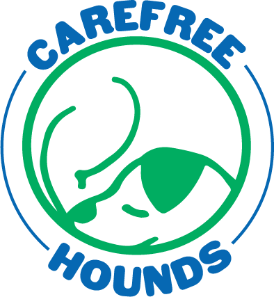 Dog Training in Vancouver - Carefree Hounds