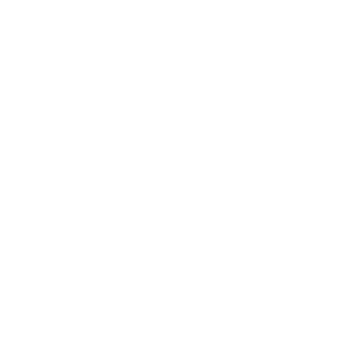 Raices Cyber 