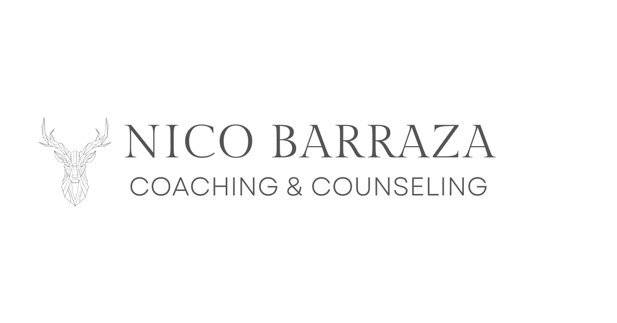 Nico Barraza Coaching