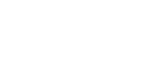 Steel Management Group