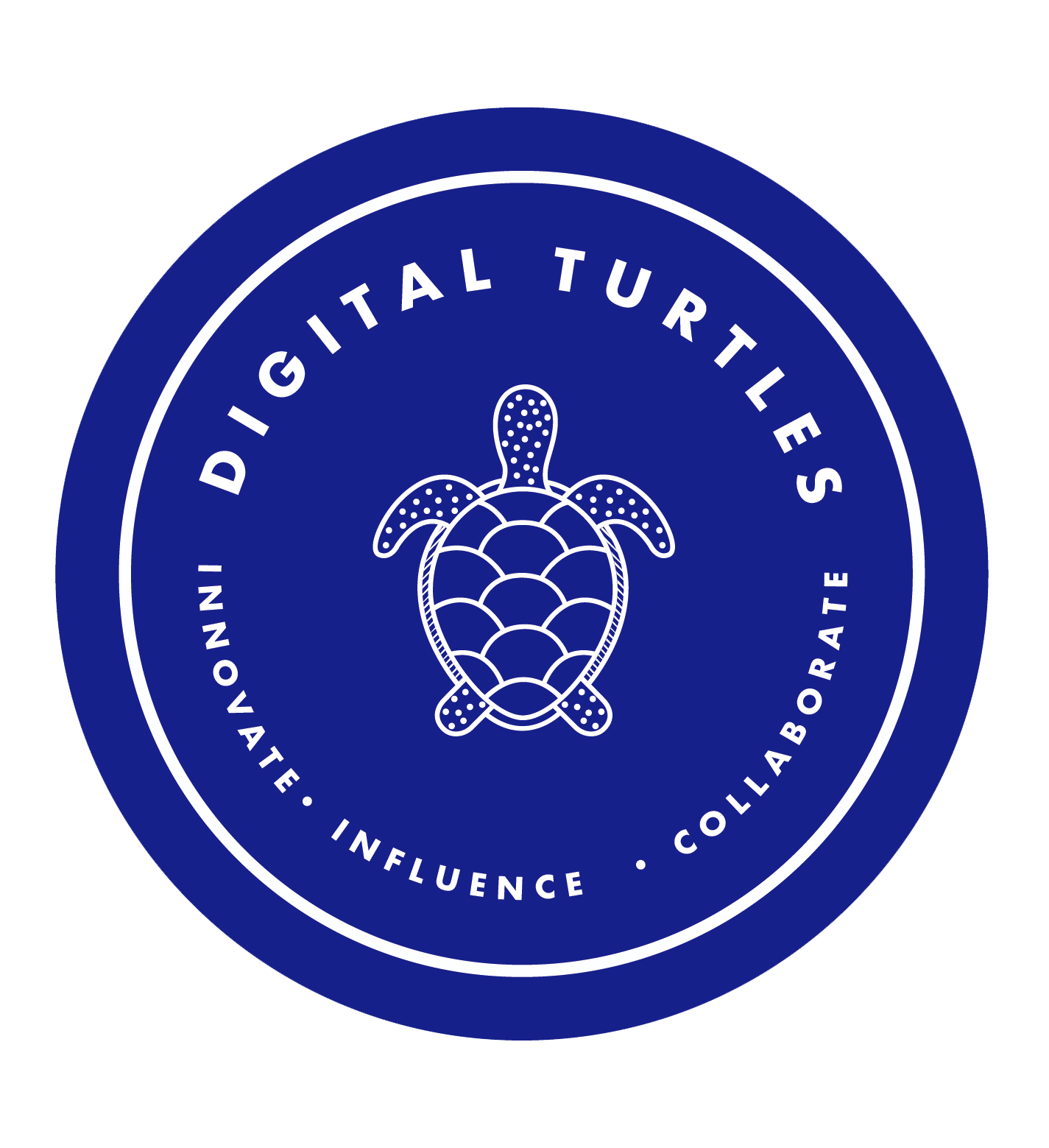 Digital Turtles - Digital Strategy Agency
