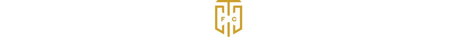 Cape Town City Football Club