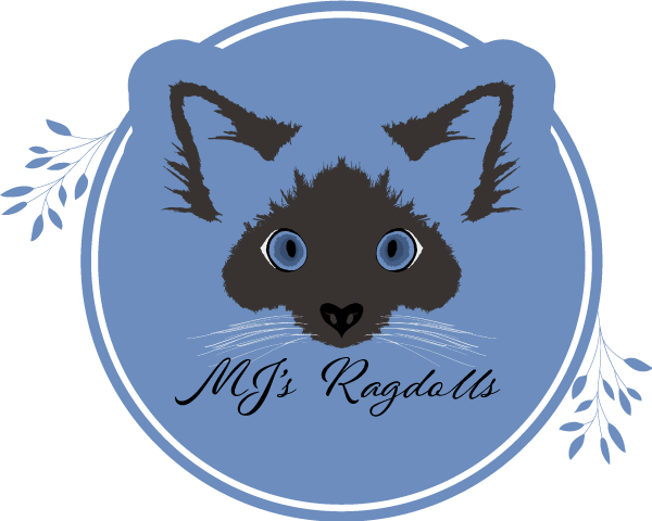 MJs Ragdolls - Maine Ragdoll Breeder of Ragdoll Cats and Ragdoll Kittens