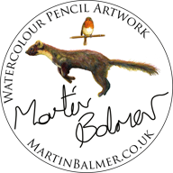Artist Martin Balmer, birds and animals in watercolour pencils