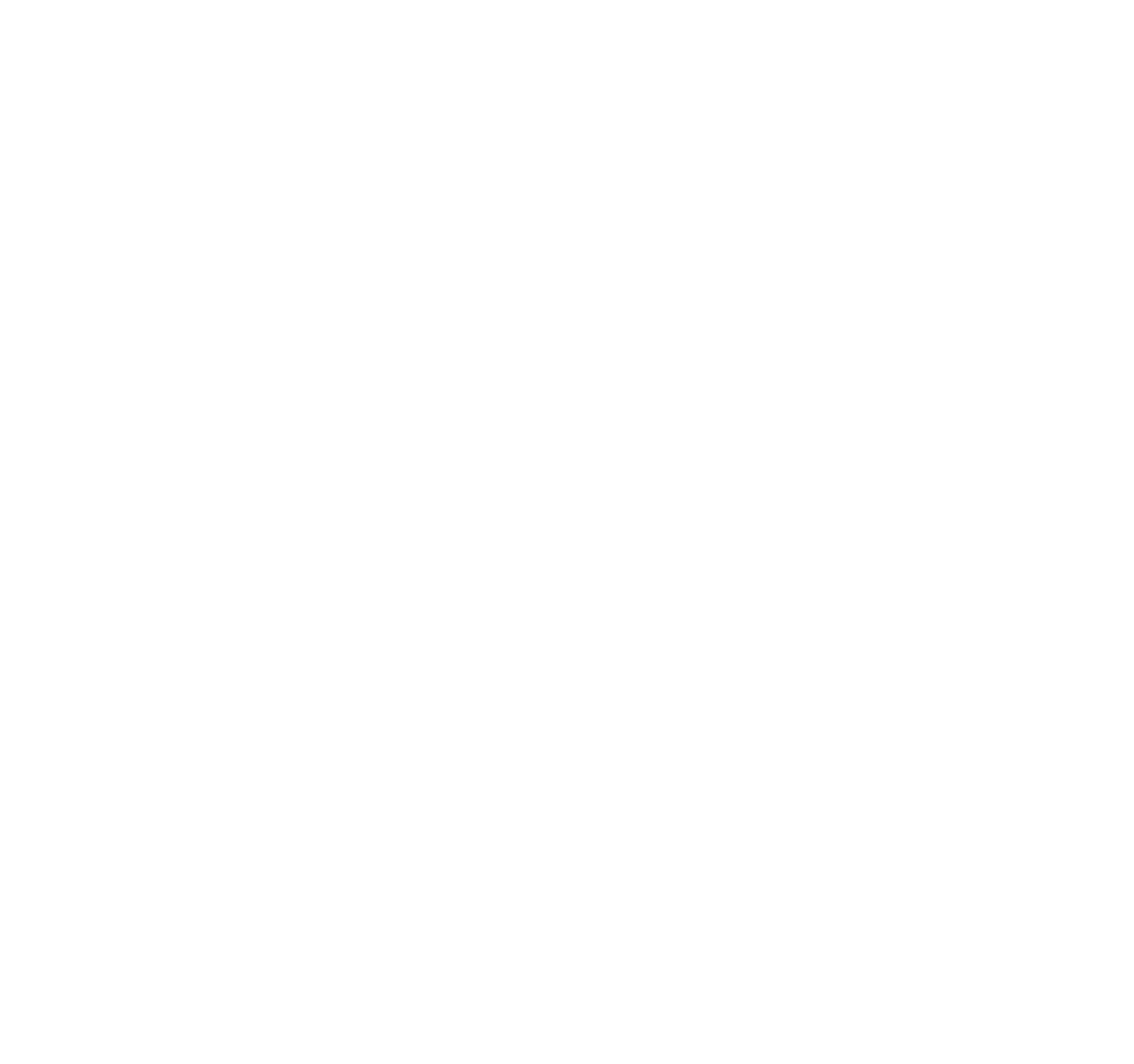 Orchesterakademie 