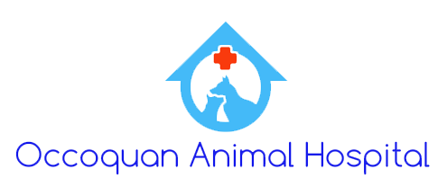 Occoquan Animal Hospital