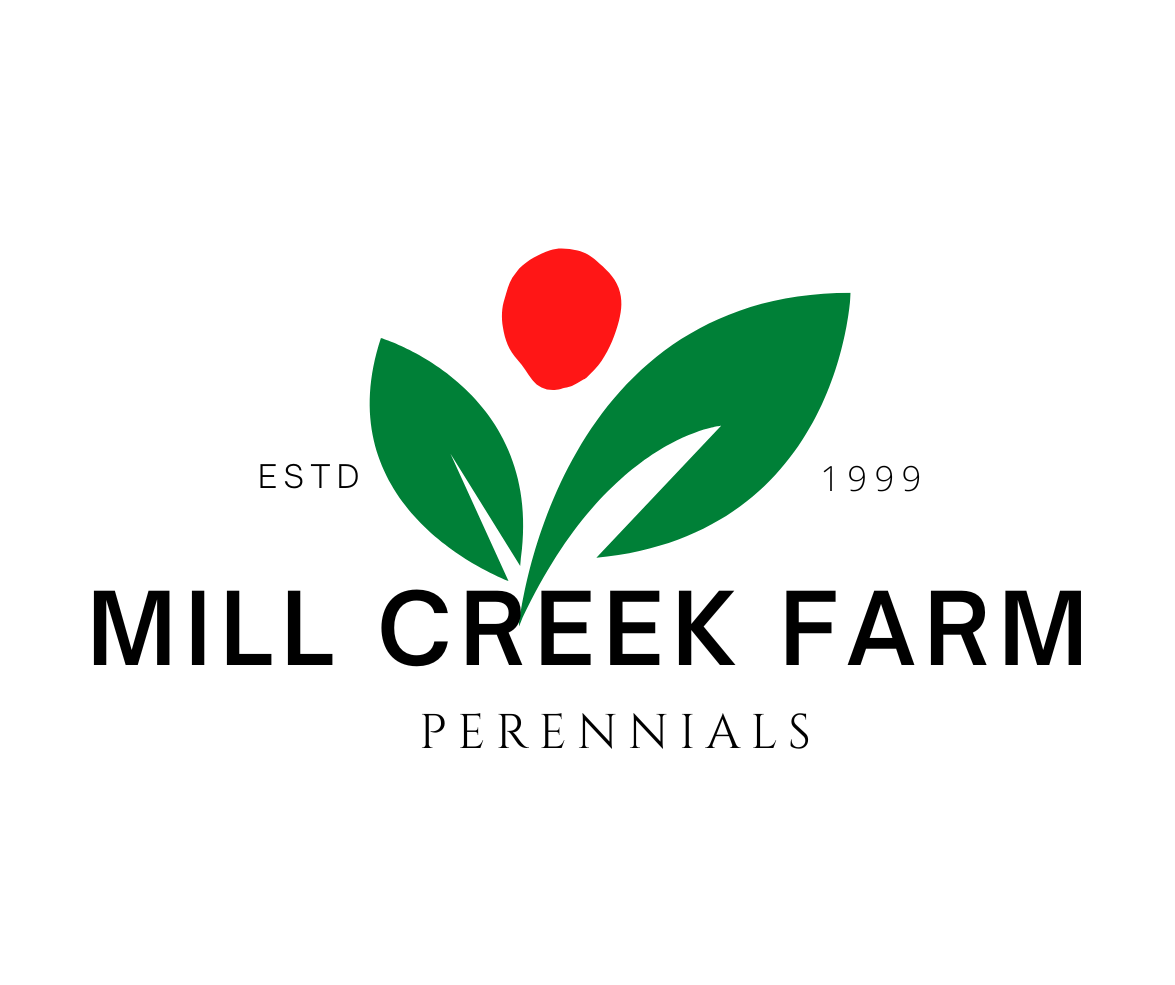 Mill Creek Farm Perennials