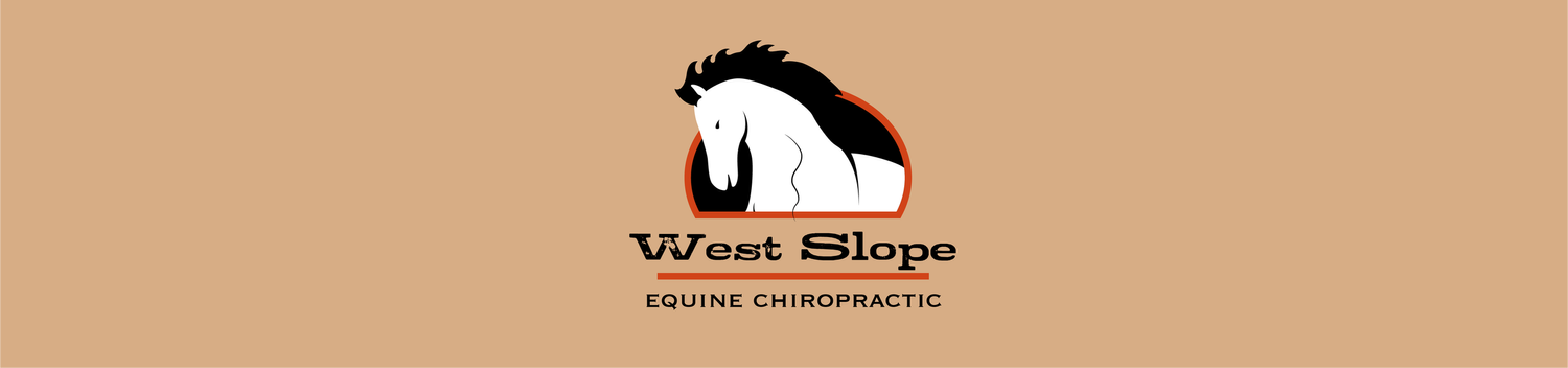 West Slope Equine Chiropractic
