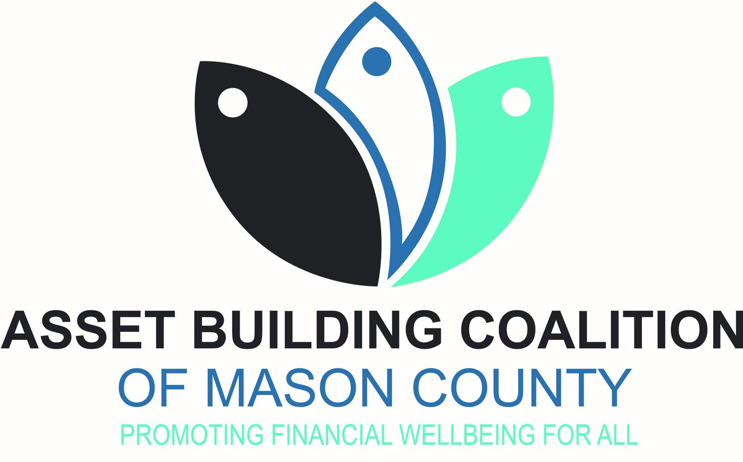 Asset Building Coalition of Mason County