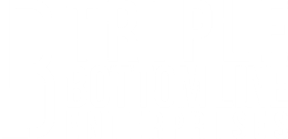 Triple Bottom Line Enterprises 