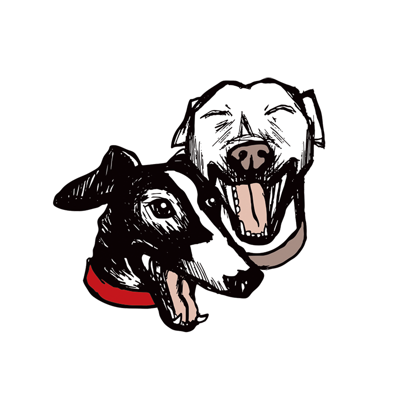 Two Dogs Laughing