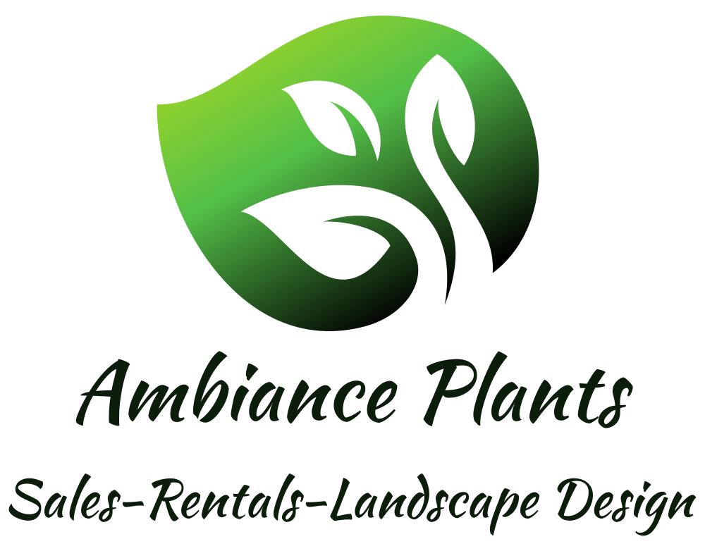 Ambiance Plants