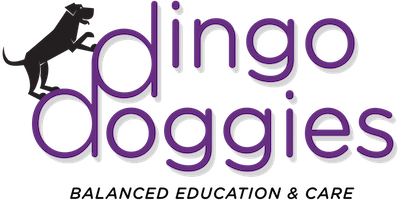 DINGO DOGGIES CAMPUS